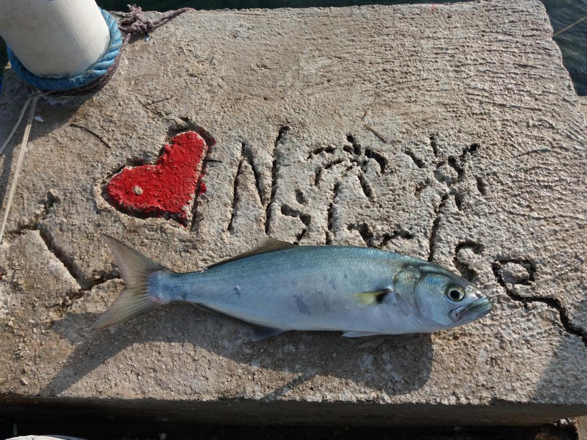 Apartment "I Love Njivice" Herceg Novi Buitenkant foto